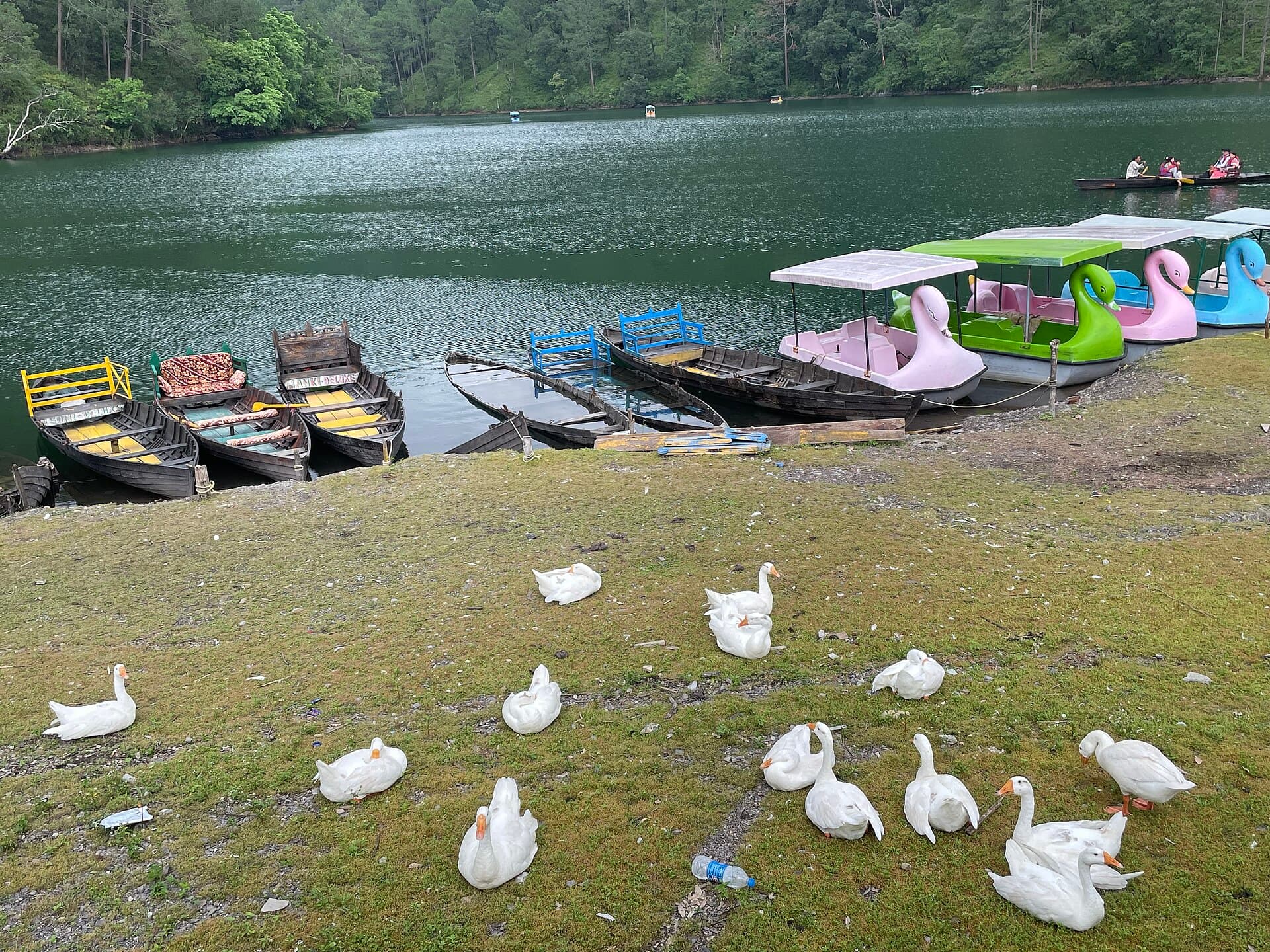 Quiet waters at Sattal near Nainital