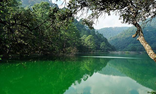 alt="Stunning mirror-like reflection of golden autumn leaves in Sattal Lake, Nainital - vibrant fall foliage against crystal-clear Himalayan waters"