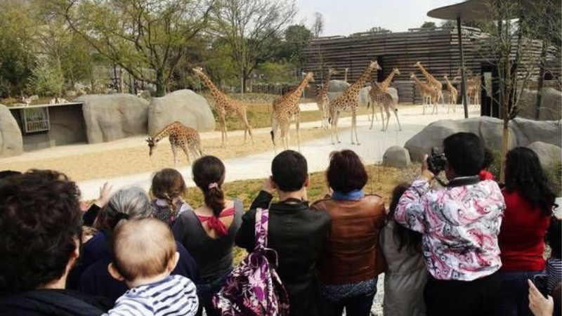 A group of visitors enjoying a picnic or taking photos in Nainital zoo.