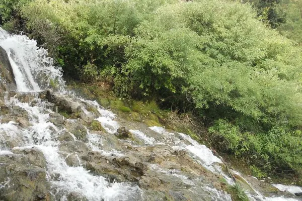 Close-up of Eco Cave Garden.